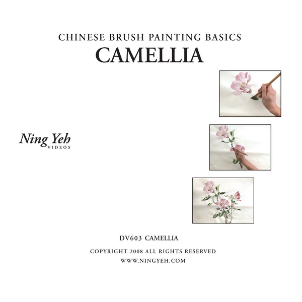Chinese Brush Painting Basics: Camellia (Pink) DVD: one hour