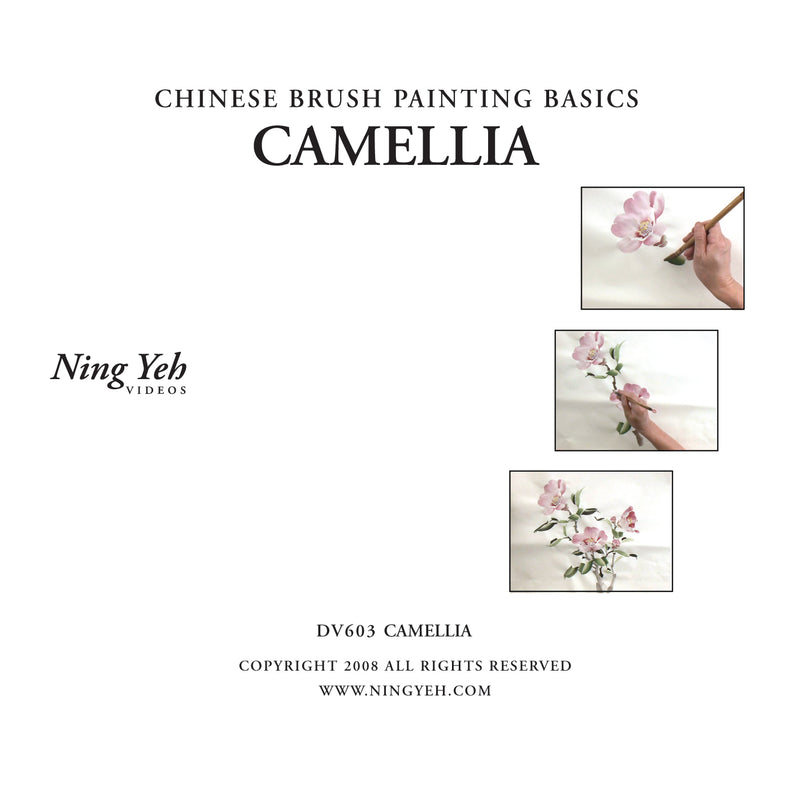 Chinese Brush Painting Basics: Camellia (Pink) DVD: one hour