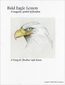A Bald Eagle Lesson