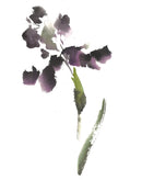 Vintage Mulberry Paper