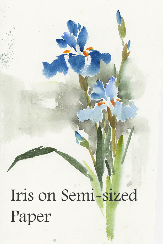 Iris on Semi-sized Paper Lesson